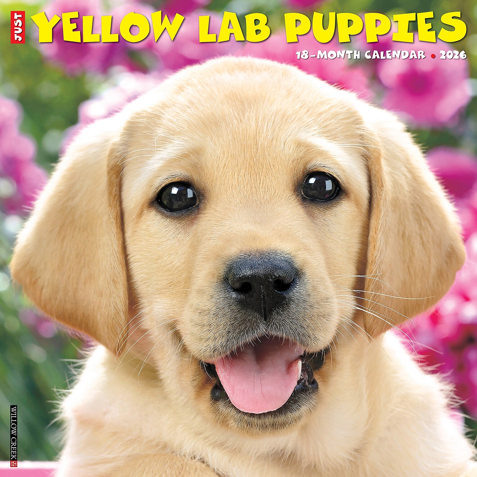 2026 Willow Creek Yellow Lab Puppies 12 x 12 Monthly Wall Calendar (53348)
