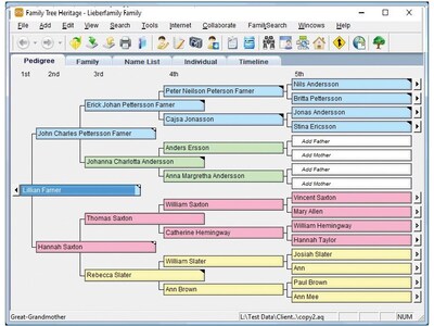 Individual Software Family Tree Heritage Gold for 1 User, Windows, Download (IND945800V060)