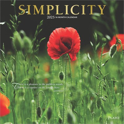 2025 Plato Simplicity 12 x 24 Monthly Square Wall Calendar (9781975478810)