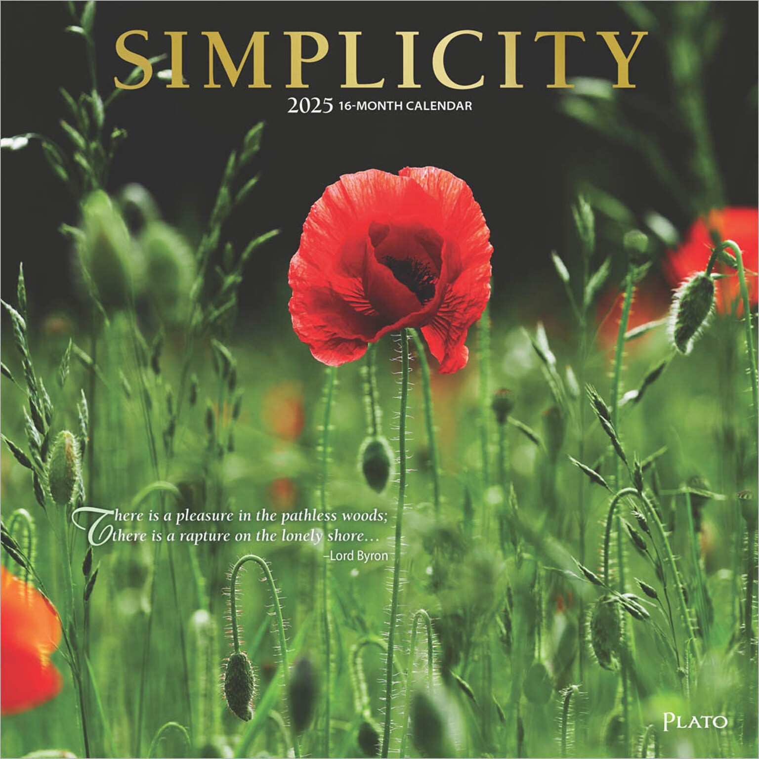 2025 Plato Simplicity 12 x 24 Monthly Square Wall Calendar (9781975478810)