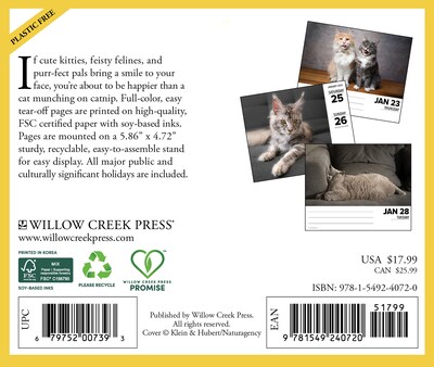 2025 Willow Creek Cats 6 x 5.5 Day-to-Day Calendar, Multicolor (40720)