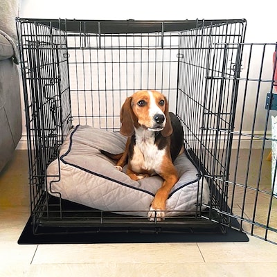 Floortex P-Tex Polypropylene Pet Crate Floor Protection Mat, 26 x 38, Black (NCSMFLLS0002)