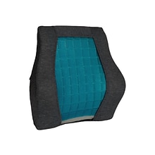 Mind Reader Memory Foam Ergonomic Lower Back Cushion Posture Corrector, Black/Blue (MEMCUSHGL-BLK)