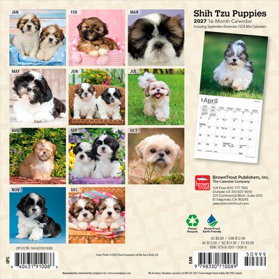 2027 BrownTrout Shih Tzu Puppies 7 x 7 Monthly Wall Calendar (9798330710089)