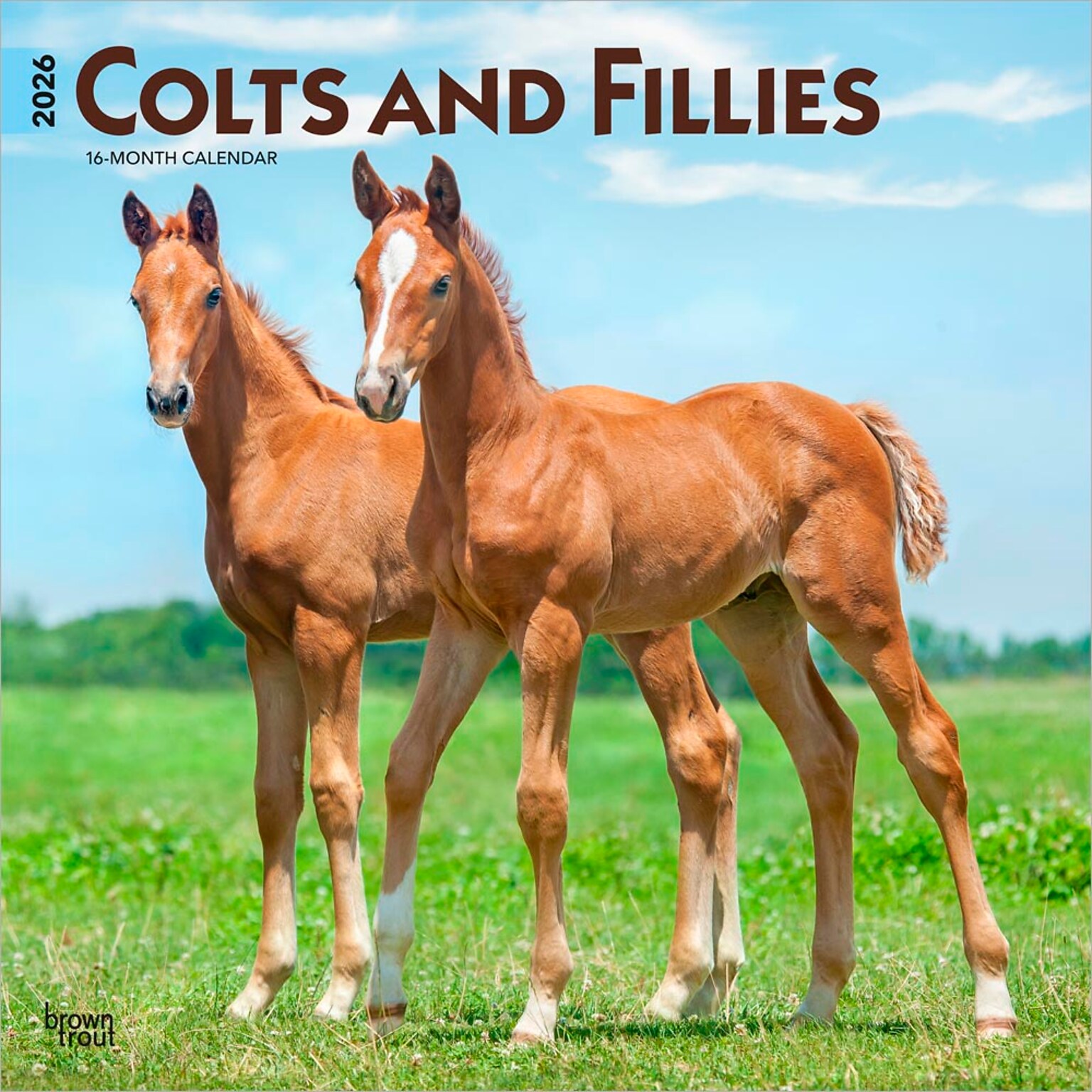 2026 BrownTrout Colts and Fillies 12 x 12 Monthly Wall Calendar (9798330703012)
