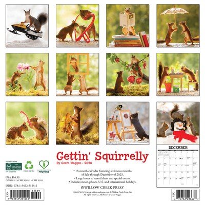 2026 Willow Creek Gettin Squirrelly 12 x 12 Monthly Wall Calendar (51252X)