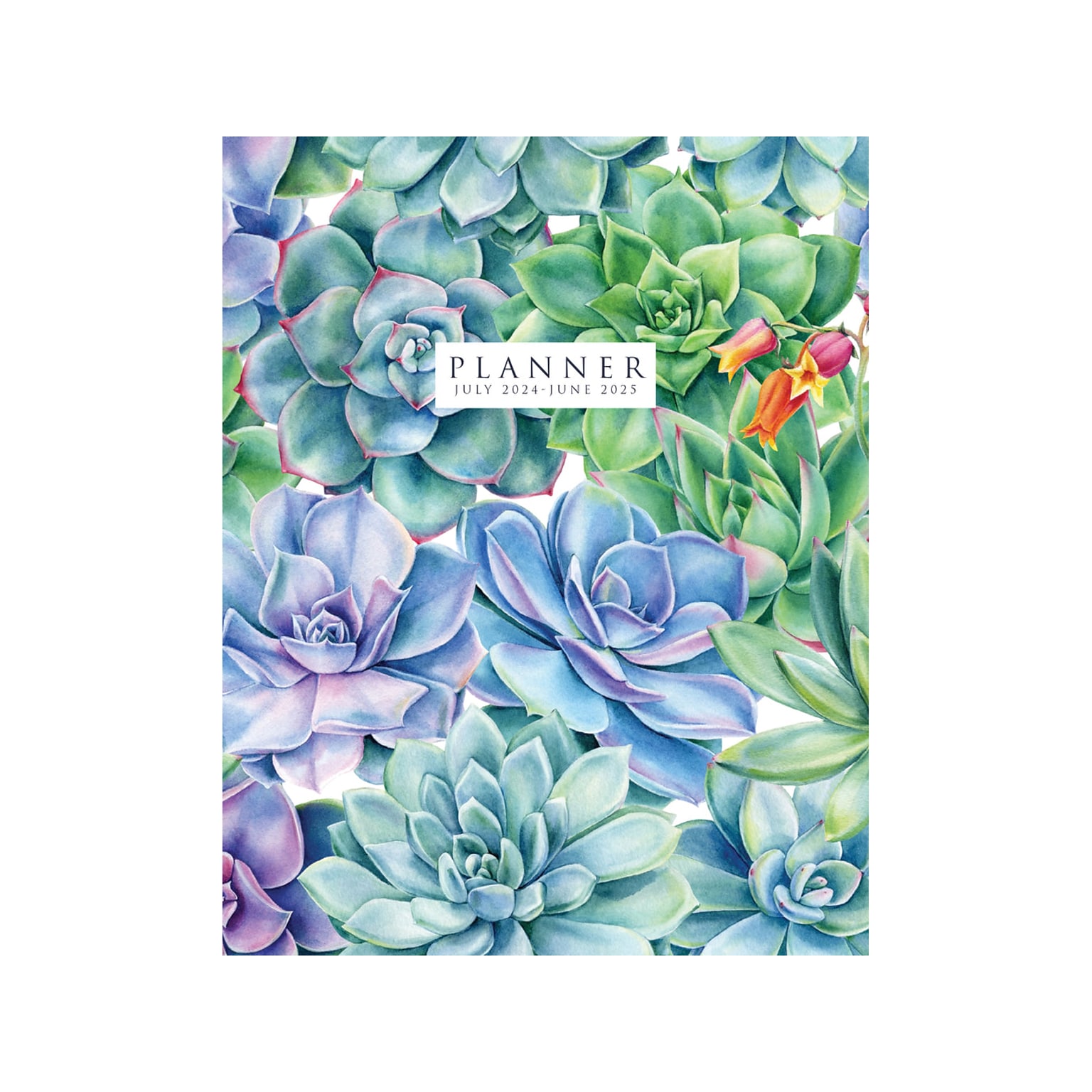 2024-2025 Willow Creek Succulents 7.5 x 9.5 Academic Monthly Planner, Paper Cover, Multicolor (47644)