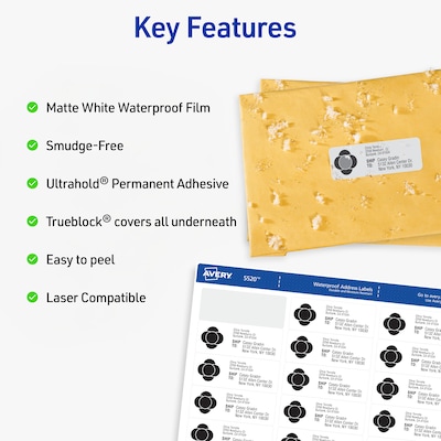 Avery Waterproof Laser Address Labels, 1 x 2-5/8, Matte White, 1,500 Labels/Box (5520)