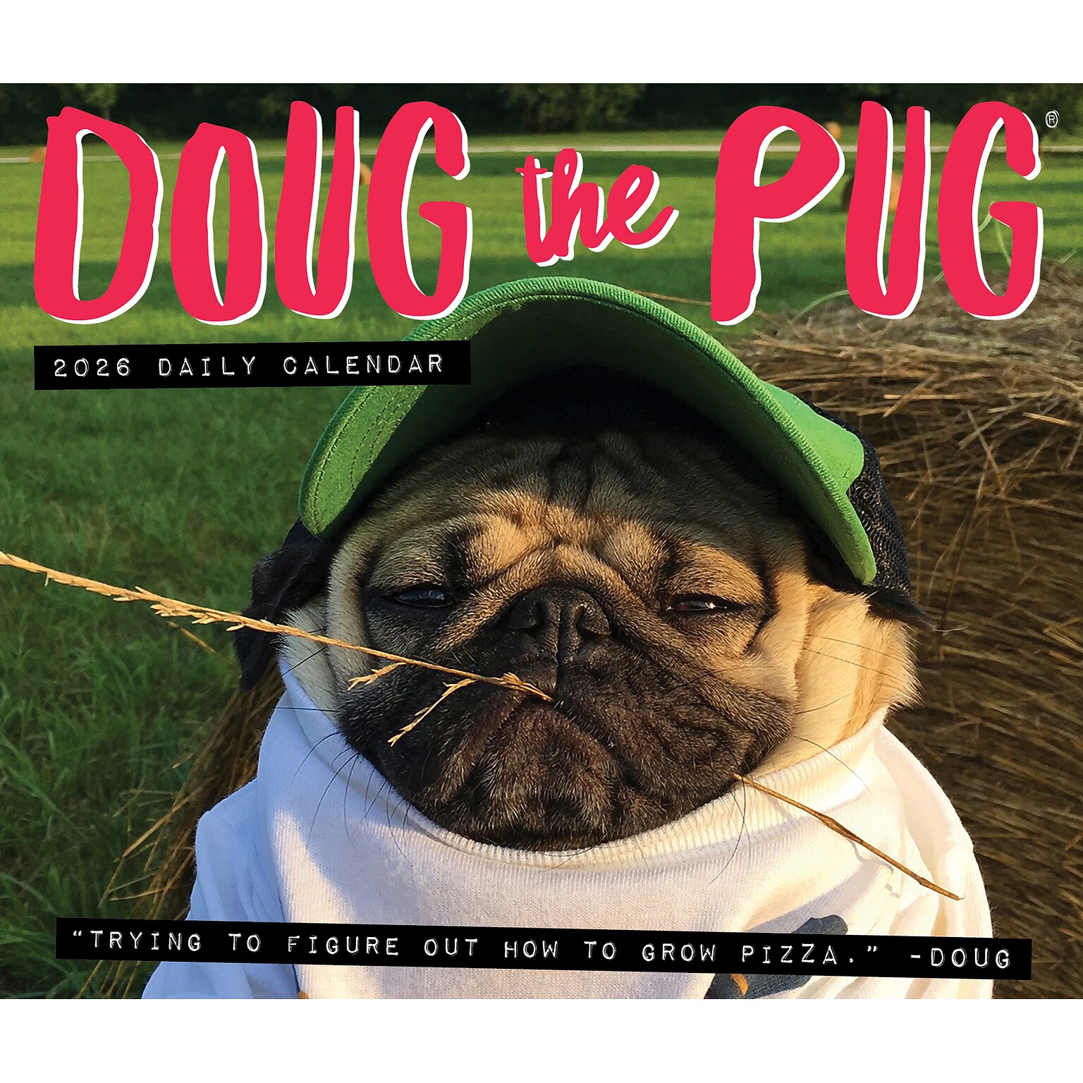2026 Willow Creek Doug the Pug 6.2 x 5.4 Day-to-Day Calendar (54154)