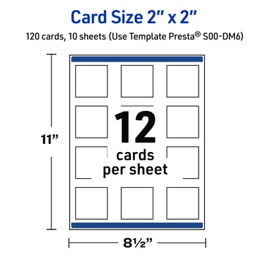 Avery Double Black Border Matte Blank Card, White, 120/Pack (S00-DM6)