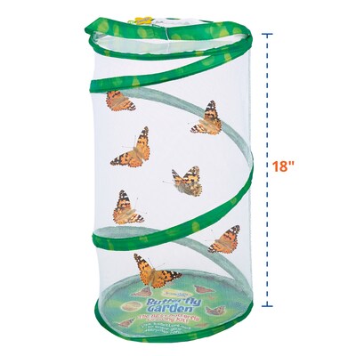 Insect Lore Giant Butterfly Garden Deluxe Growing Kit (ILP01070)