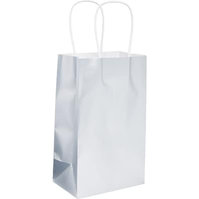 Party City Small Gift Bag, Silver (AM160831-NS)