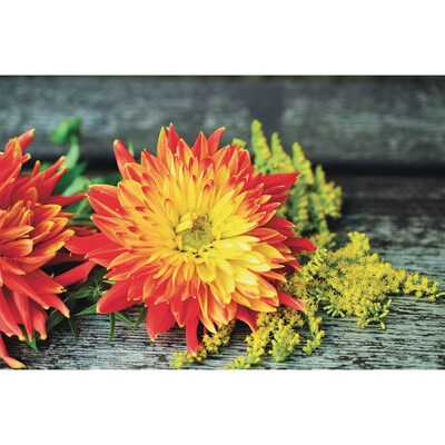 S&S 24-Piece Thera Jigsaw Foam Puzzle, 4 Puzzles/Set (19210)