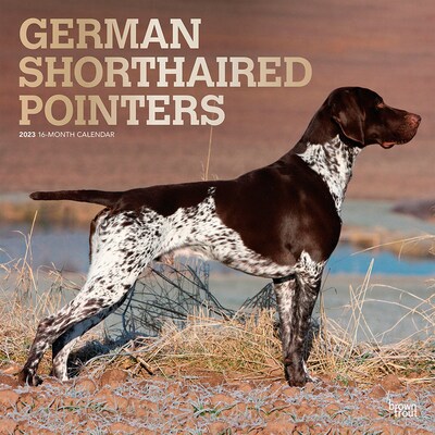 2023 BrownTrout German Shorthaired Pointers 12 x 12 Monthly Wall Calendar (9781975449223)