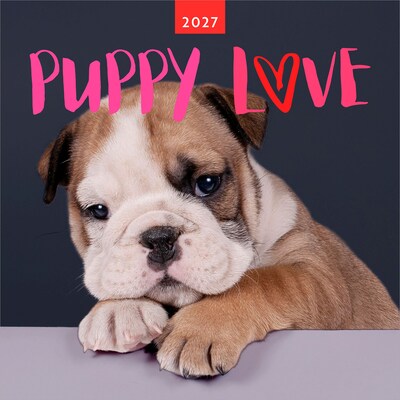 2027 BrownTrout Puppy Love 12 x 12 Monthly Wall Calendar (9347301107344)