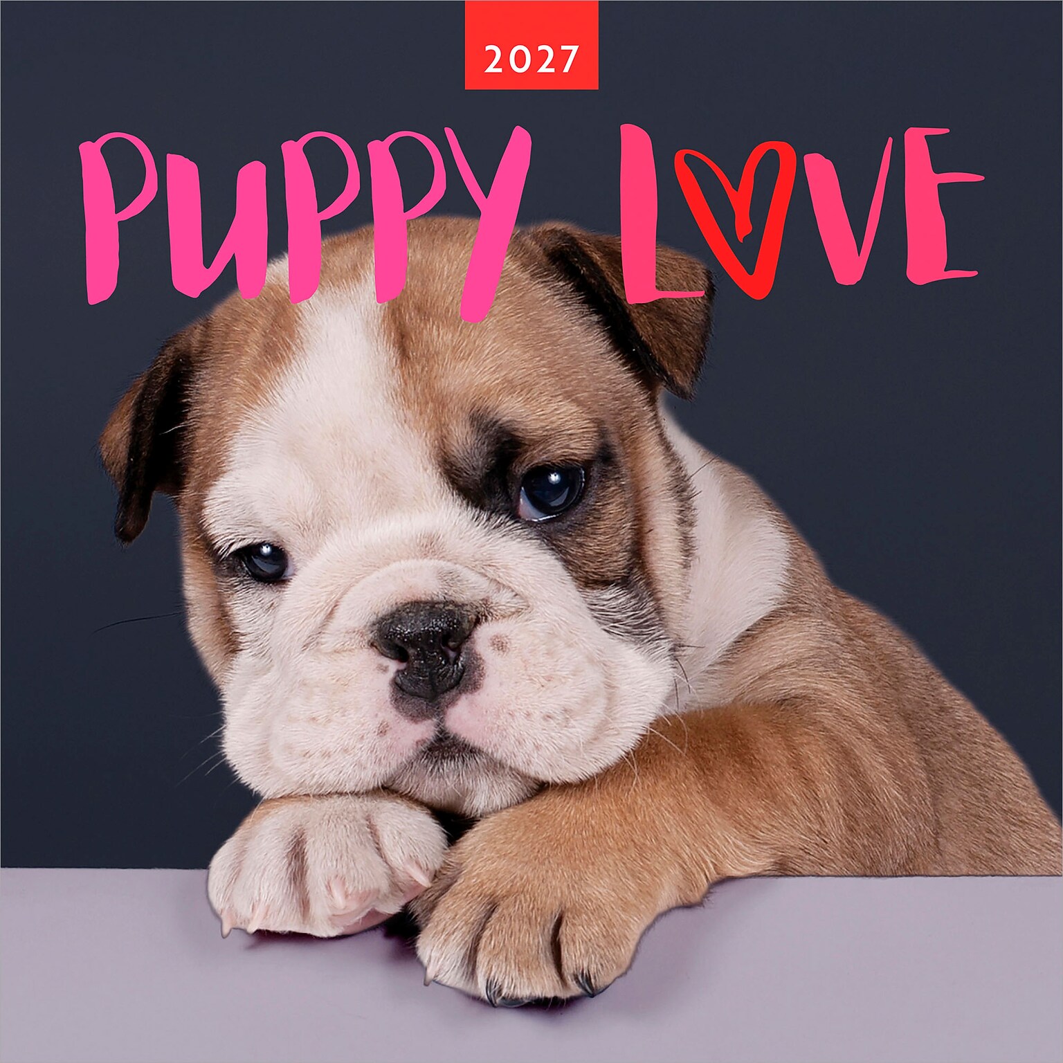 2027 BrownTrout Puppy Love 12 x 12 Monthly Wall Calendar (9347301107344)