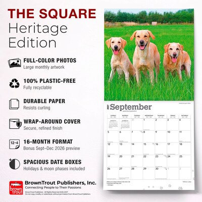 2027 BrownTrout Yellow Labrador Retrievers 12" x 12" Monthly Wall Calendar (9798330712571)