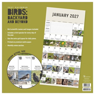 2027 TF Publishing Birds: Backyard and Beyond 12" x 12" Monthly Wall Calendar, Multicolored (27-1121)