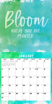 2027 Willow Creek Grateful, Thankful, Blessed 12" x 12" Monthly Wall Calendar, Assorted Colors (60513)