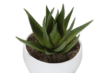 Monarch Specialties Inc. 6" Artificial Succulent Plant in Pot, 3/Set (I 9555)