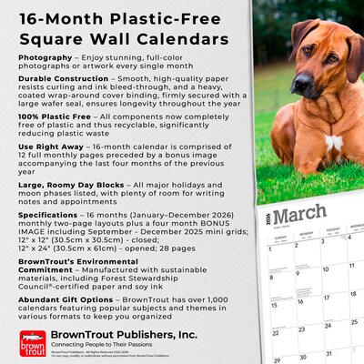2026 BrownTrout Rhodesian Ridgebacks 12" x 12" Monthly Wall Calendar (9798330705337)