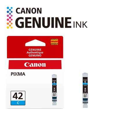 Canon 42 Cyan Standard Yield Ink Cartridge (6385B002)