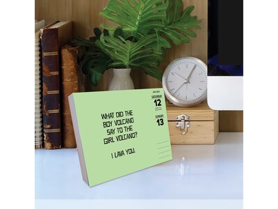 2025 Willow Creek Bad Dad Jokes 5.86" x 4.72" Day-to-Day Calendar (40621)