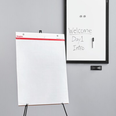 Staples® Stickies Easel Pad, 25" x 30", 30 Sheets/Pad, 2 Pads/Pack (23447)