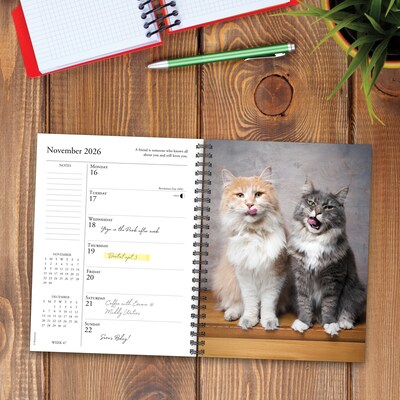 2026 Willow Creek What Cats Teach Us 6.5" x 8.5" Daily & Monthly Personal Organizer (54666)