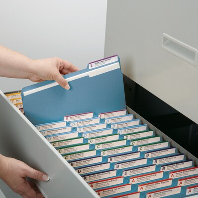 Smead File Folder, 1/3-Cut Tab, Letter Size, Blue, 100/Box (12043)