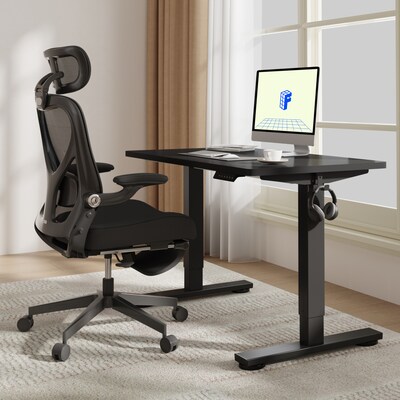 FlexiSpot E2 42''W Electric Adjustable Standing Desk, Black (E2B4224B)
