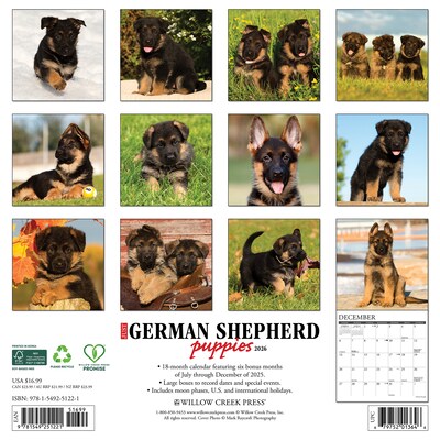 2026 Willow Creek German Shepherd Puppies 12 x 12 Monthly Wall Calendar (51221)