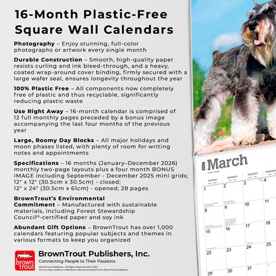 2026 BrownTrout Miniature Schnauzers 12" x 12" Monthly Wall Calendar (9798330705467)