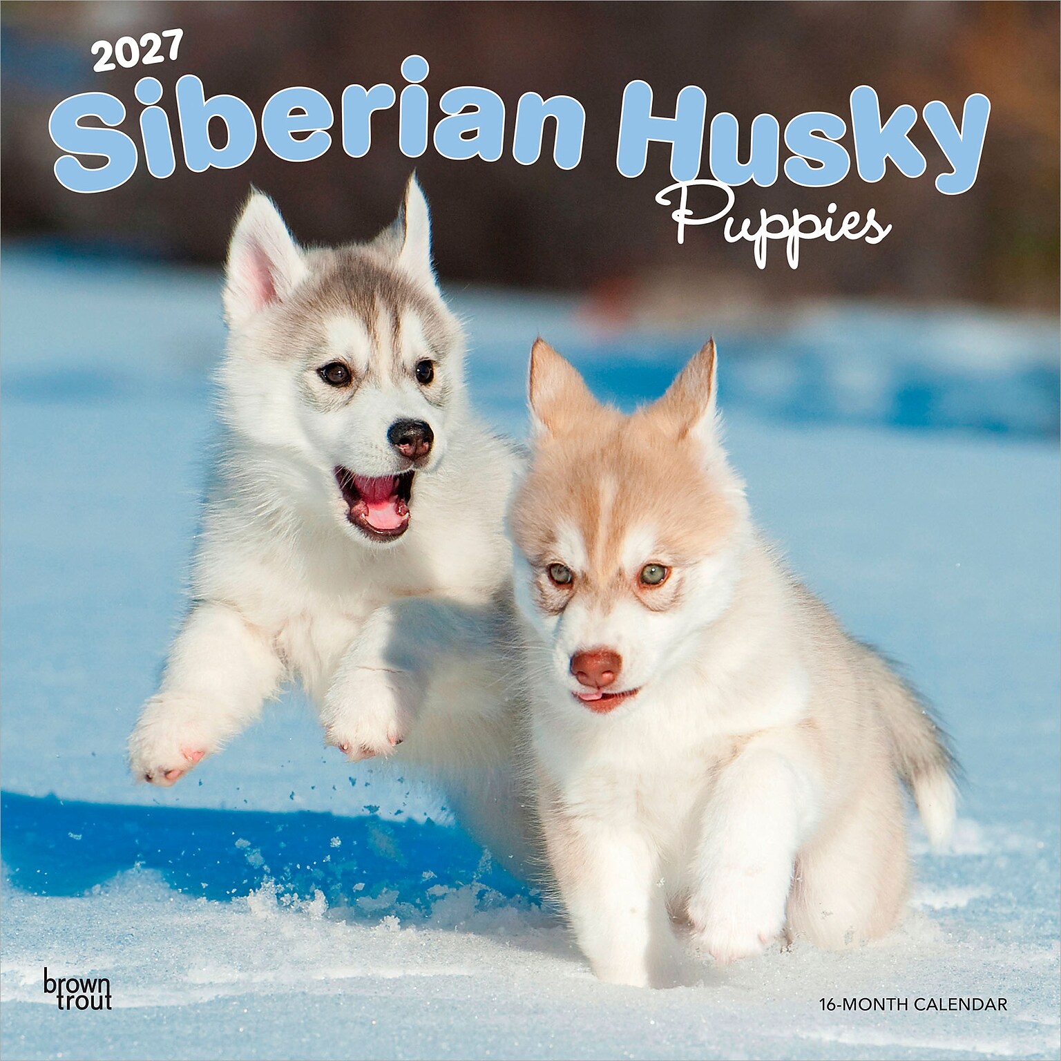2027 BrownTrout Siberian Husky Puppies 12 x 12 Monthly Wall Calendar (9798330712700)