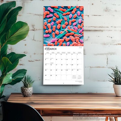 2026 BrownTrout Microscopic World of Innerspace 12" x 12" Monthly Wall Calendar (9798330703883)