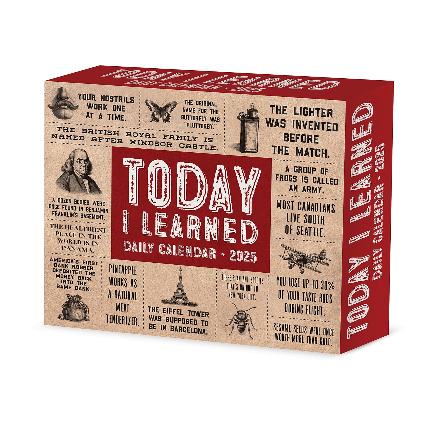 2025 Willow Creek Today I Learned - Facts and Daily Trivia 6 x 5.5 Day-to-Day Calendar (41055)
