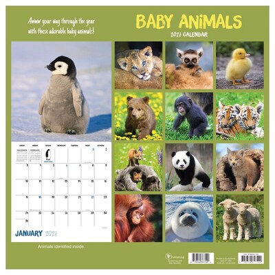 2027 TF Publishing Baby Animals 11" x 12" Monthly Wall Calendar (27-1000)