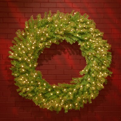 National Tree Company Norwood Fir Wreaths (NF-318L-48W)