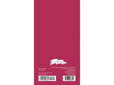 2024-2025 Willow Creek Cute As A Kitten 3.5 x 6.5 Monthly Planner, Multicolor (38475)
