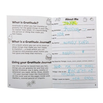 S&S Color-Your-Own Gratitude Guided Journal, 6" x 9", White, 100 Pages, 12/Pack (PE224612)