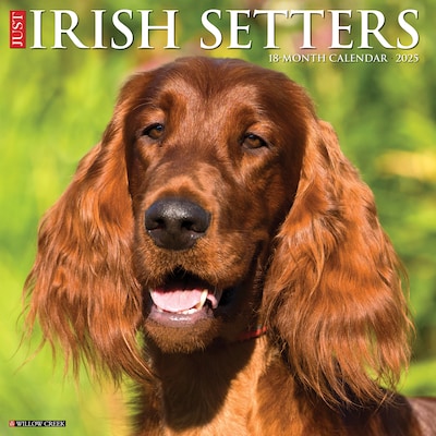 2025 Willow Creek Just Irish Setters 12 x 12 Monthly Wall Calendar (43523)