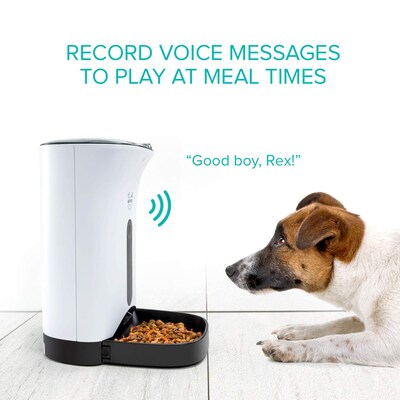 Arf Pets Automatic Pet Feeder w/ Portion Control, Voice Recording & Programmable, Black/White (APAFNEW2)