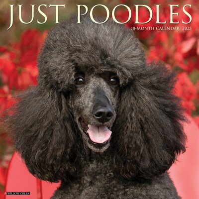 2025 Willow Creek Just Poodles 12 x 12 Monthly Wall Calendar (44520)