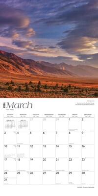 2024 BrownTrout Nevada Wild & Scenic 12" x 24" Monthly Wall Calendar (9781975464165)