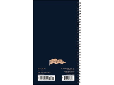 2023-2024 Willow Creek Celestial Soul 3.5" x 6.5" Academic Weekly & Monthly Planner, Paperboard Cover, Dark Blue/Beige (38253)
