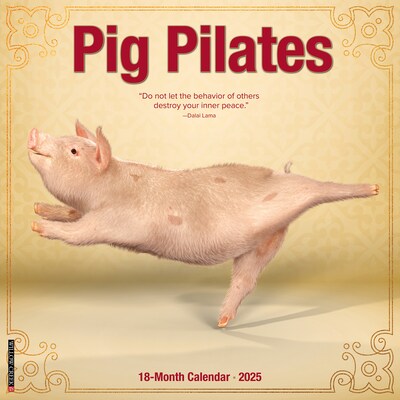2025 Willow Creek Pig Pilates 12 x 12 Monthly Wall Calendar (44452)