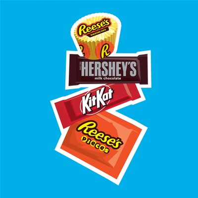 Hershey's Assorted Chocolate Variety Pack, 24.8 oz. (246-00013)