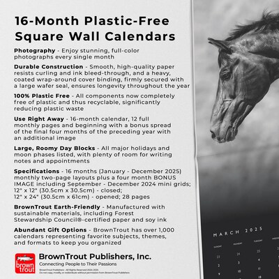 2025 BrownTrout Portrait Series: The Noble Horse 12" x 12" Monthly Wall Calendar (9781975477158)