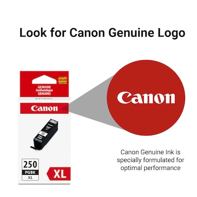 Canon 250XL Black High Yield Ink Cartridge (6432B001)