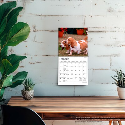 2027 BrownTrout Basset Hounds 7" x 7" Monthly Wall Calendar, Assorted Colors (9798330714094)